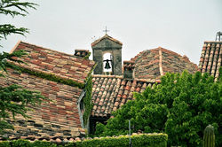 New     ｴｽﾞ､ﾌﾗﾝｽ