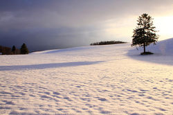 21　　　雪原に明ける　　（北海道・美瑛町）