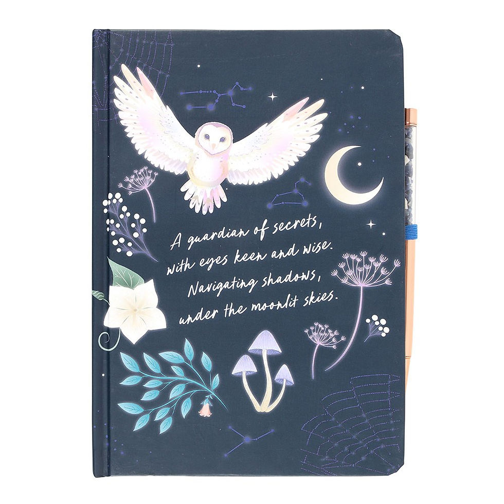 Miniatyrbild: NIGHT OWL JOURNAL WITH SODALITE PEN