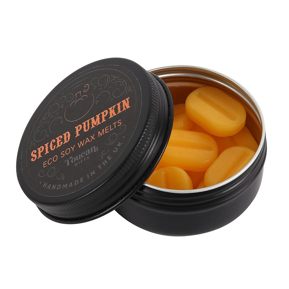 Miniatyrbild: SPICED PUMPKIN ECO SOY WAX MELTS