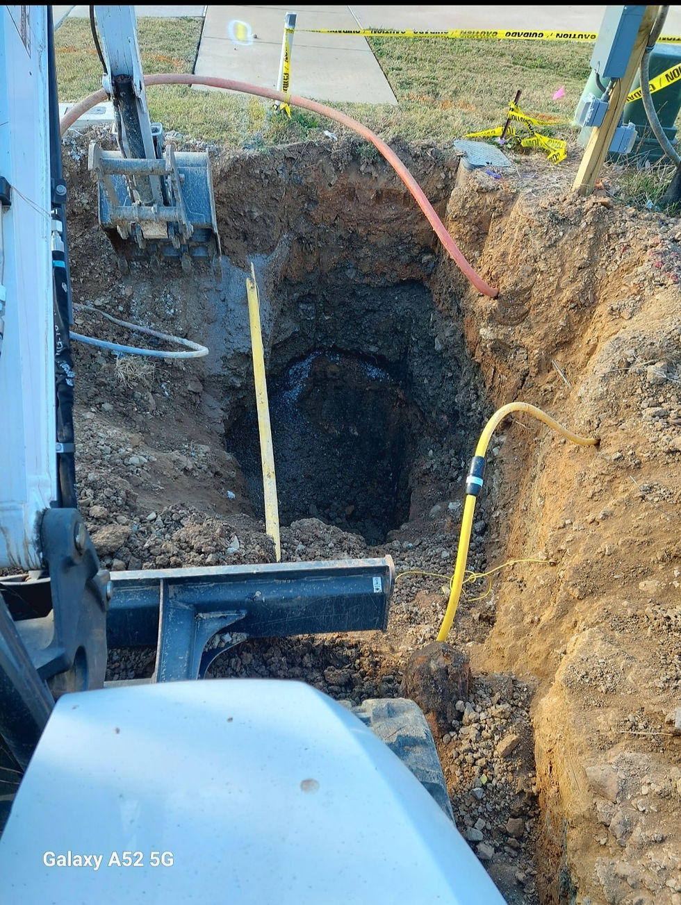 Screenshot_20240901_085238_Gallery_edited