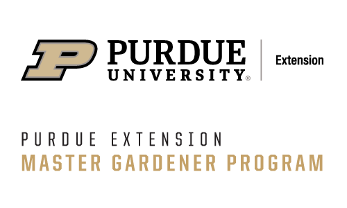EMG Brand 2 color.png