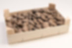 champi_pleurote_petit_plateau_bois_vu_coté
