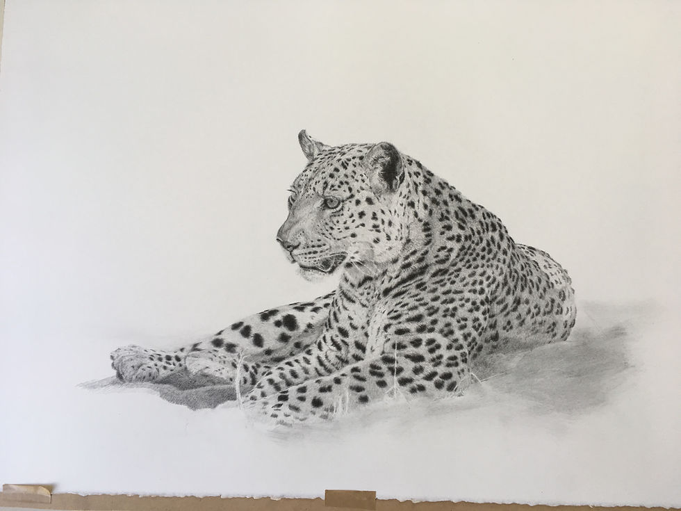 Starting to take shape and get depth.