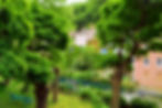 File0681.jpg
