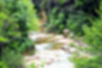File0708.JPG