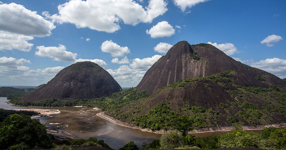 Nature traveler birdwatching in Colombia — Bio-Escapes and Wildlife Expeditions by Faunaris