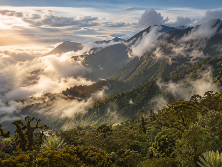 Cinematic landscape of the Eastern Andes near Bogotá, showing mist over the cloud forest. A prime location for a Bio-Escape in Colombia focused on biological intelligence.
