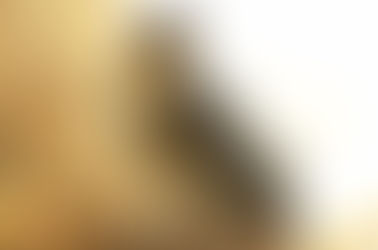 Pochwal się swoimi osiągnięciami...