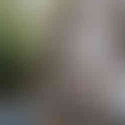 Hof_Klemme_Empfehlung_Campingpark_Kalletal