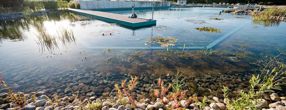 Pflanzen_Natur_Teich_Baden_Pool_Nordseecamping_zum_Seehund