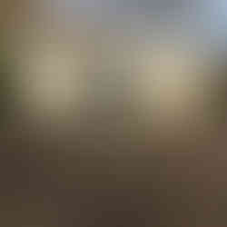 Camping_am_Deich_Nordsee_Barrierefreies_Chalet_Anlieferung