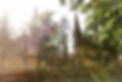 Radtour_Winsen_Aller_stechinelli_Tor_Campingpark_Suedheide
