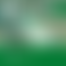 Job: Minijob im Minimarkt (m/w/d) – Campingpark Kalletal