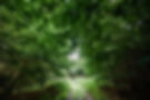 Campingpark_Kalletal_Wanderung_Kirchberg
