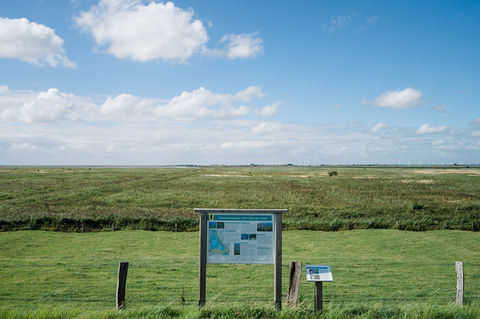 Nordstrand-Radweg-Nordseecamping-zum-Seehund