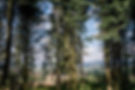 Campingpark_Kalletal_Wanderung_Kirchberg