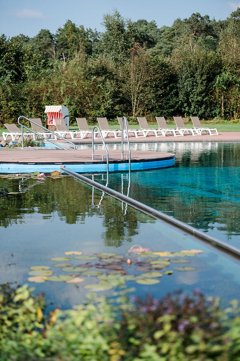 Campingpark_Suedheide_naturpool_Schwimmteich
