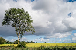 Ausflug_Ostfriesland_Nordsee-Flitzer