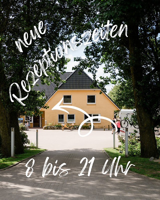 Blog | Nordseecamping zum Seehund