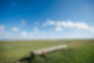 Deich_Nordsee_Salzwiesen_Bank_Radtour