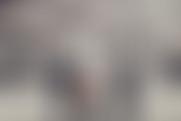 International Festival of Chamber Music, Belfast