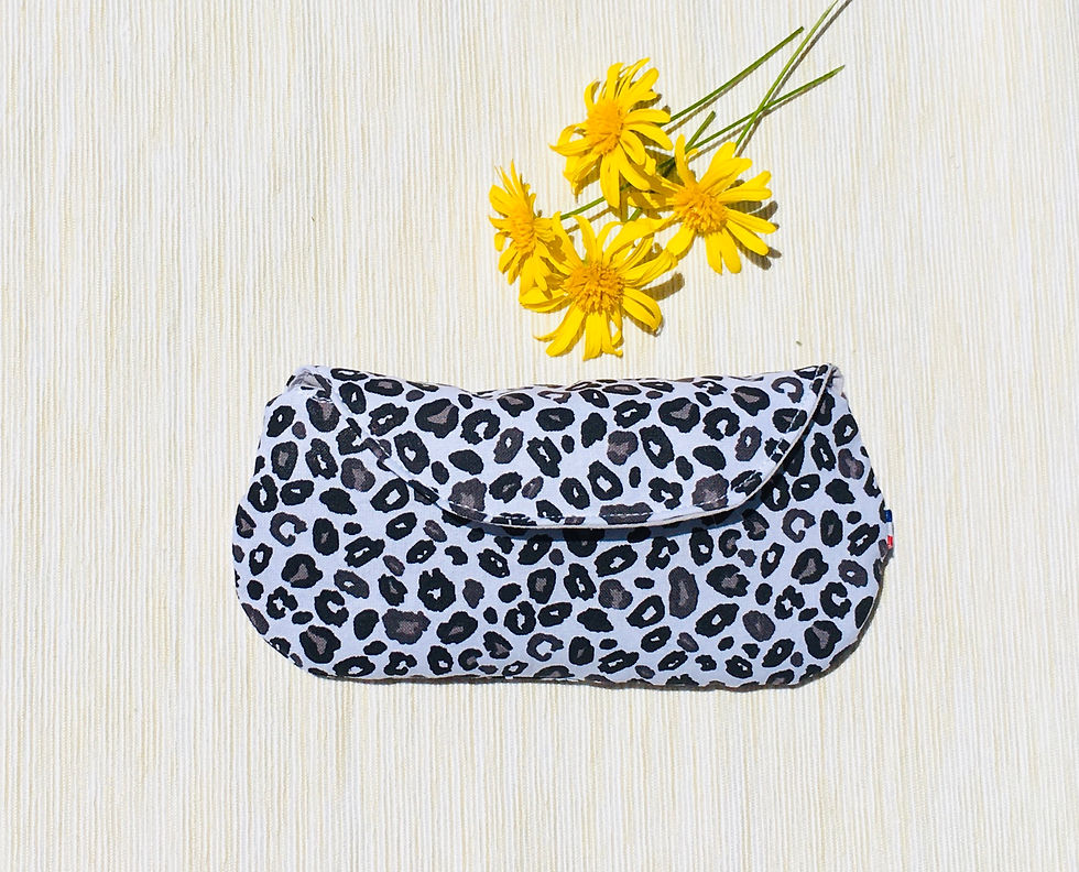 Etui à lunettes