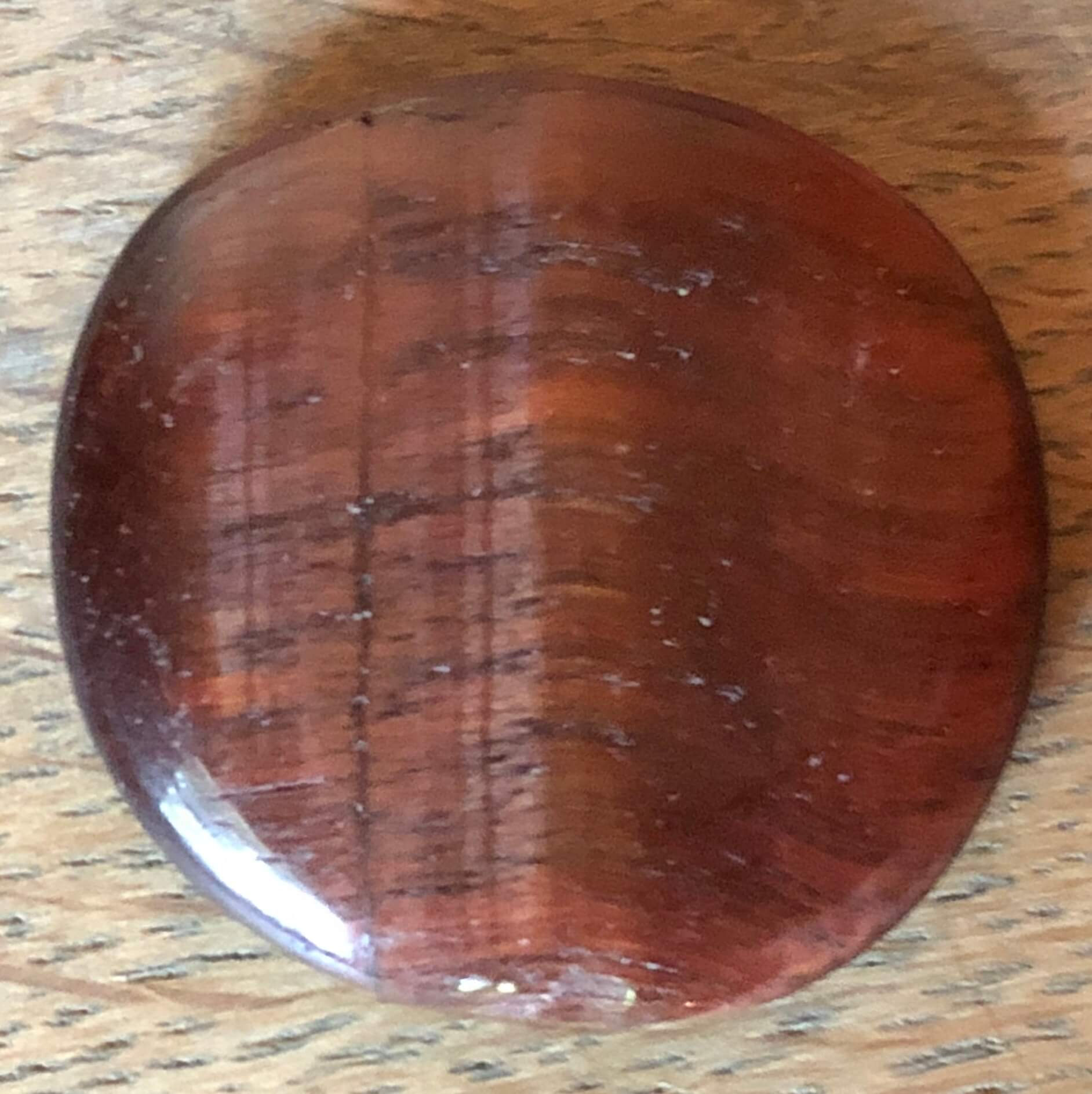 Œil de taureau Lithophile Gard