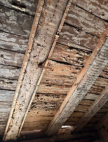 WhatsApp Image 2026-01-27 at 09.58.39 (11).jpeg