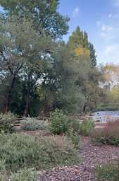 A0578430-4F1C-4C86-852E-150E1B6BBAC2_1_102_o.jpeg