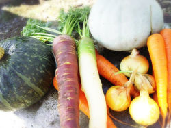 14124424_1605152966449351_6457432889453794935_o