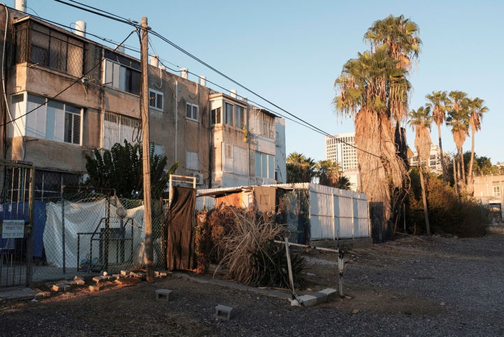 Old residential housing blocks and tall palm trees in a changing neighborhood in Tel Aviv, archive Flora Malinash.