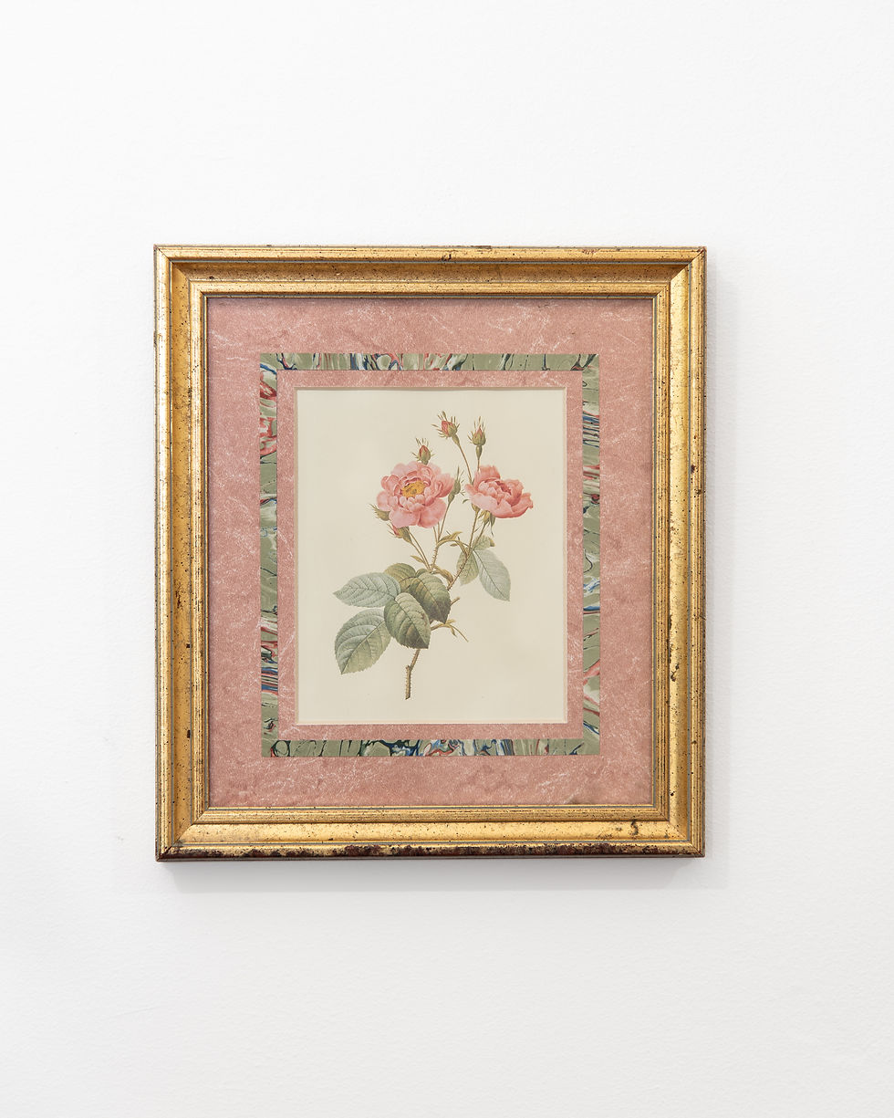 Thumbnail: framed peony vintage art no.001