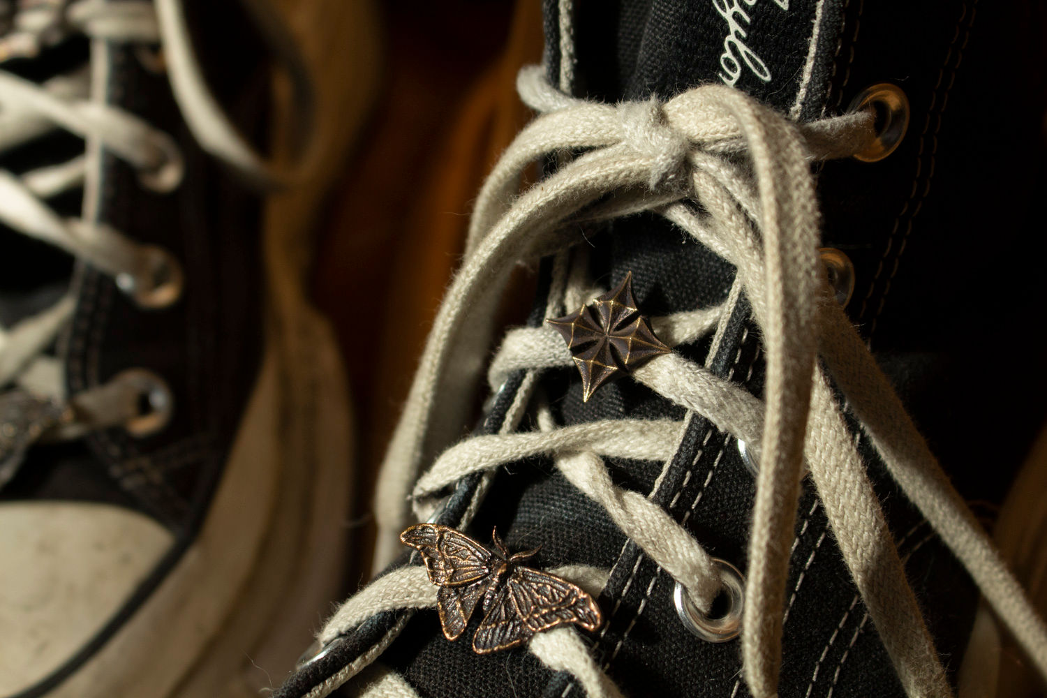 shoelace charms