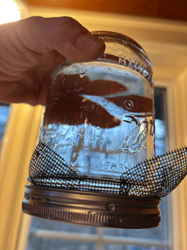 water-screen2.gif
