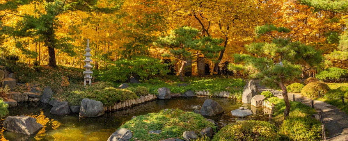 landscape arb.GIF