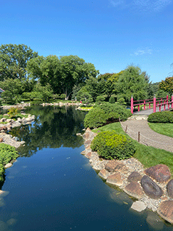 normandale-japs-garden.gif