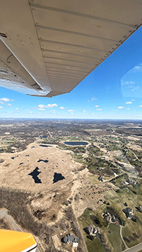 young-eagle2.gif