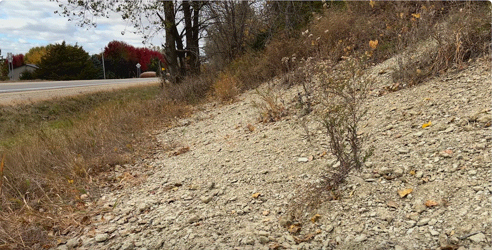 fossil hwy.GIF