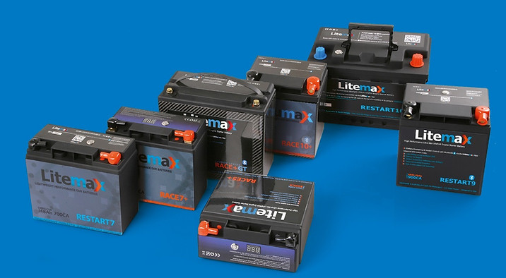 Litemax_group.JPG