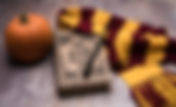 Harry Potter & Wizards CAMP June 22-26