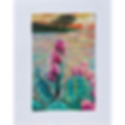Thumbnail: Cactus on prairie