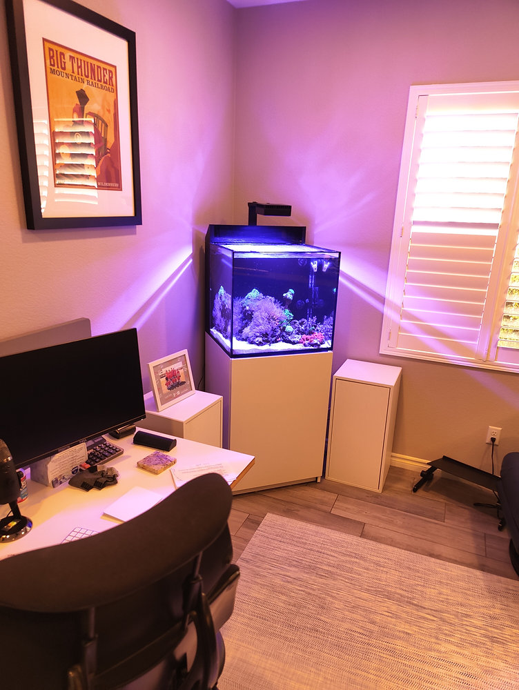 Illustration of Setting Up A Quiet Aquarium For Home