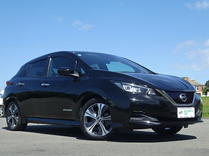 black leaf 28014km - 1.jpeg