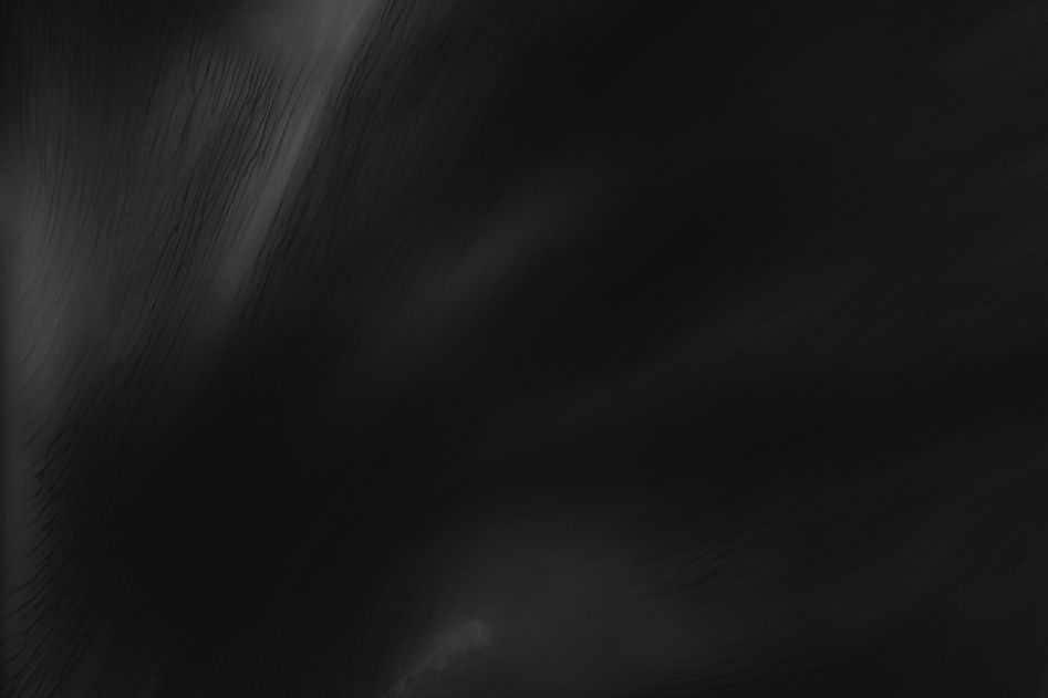 black_00036.jpg