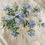Thumbnail: Colefax and Fowler Plumbago Bouquet Fabric