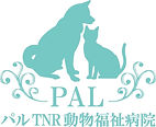 パルロゴ_edited.jpg