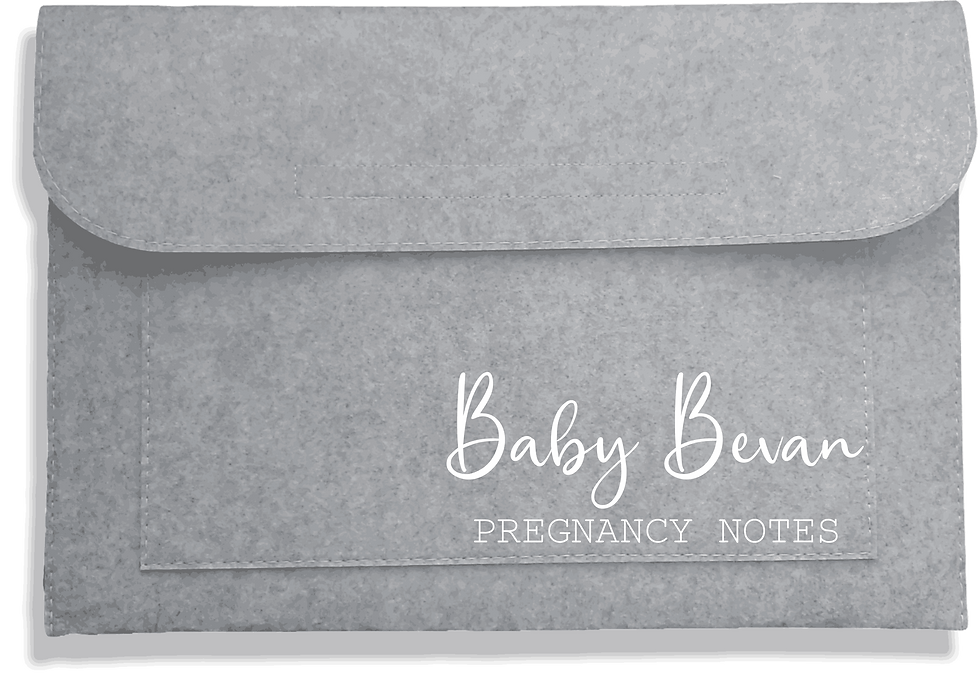 Thumbnail: Personalised Maternity Notes Folder