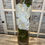 Miniature : Arrangement vase et orchidée blanche.