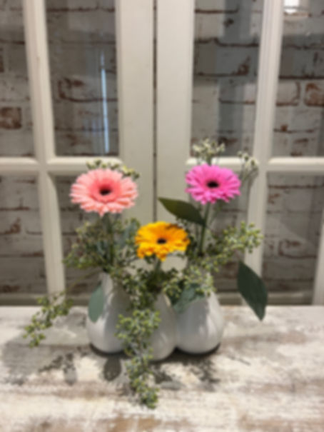Trio mini gerbera.